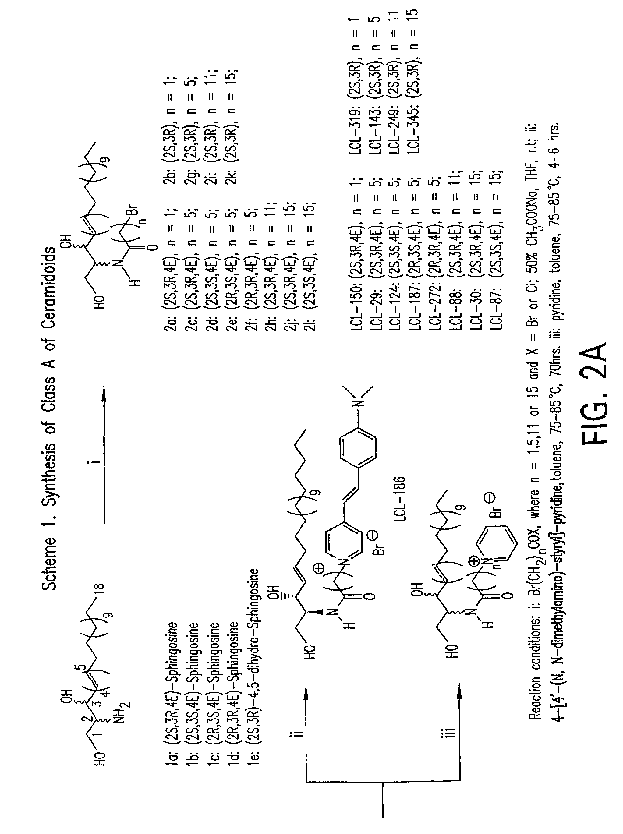 Cationic ceramides, and analogs thereof, and their use for preventing or treating cancer