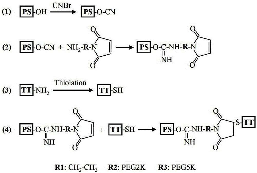 A kind of meningitis polysaccharide conjugate vaccine with heterotype bifunctional reagent as connecting bridge and preparation method thereof