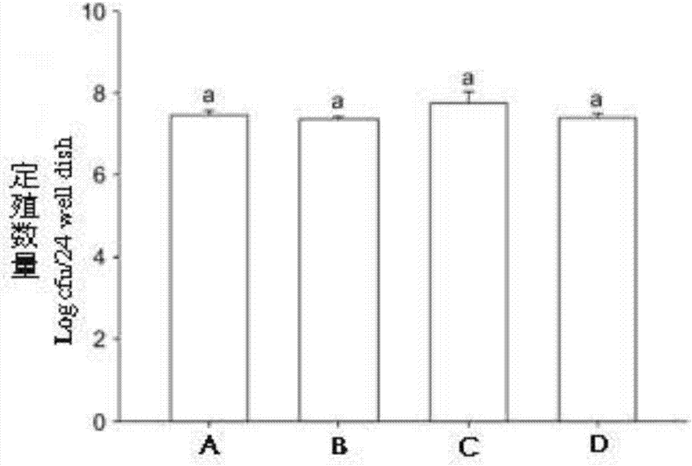 Anti-helicobacter-pylori probiotic composition