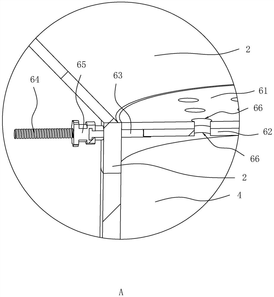 Microorganism-plant two-way insect-resistant fungicide and preparation method thereof