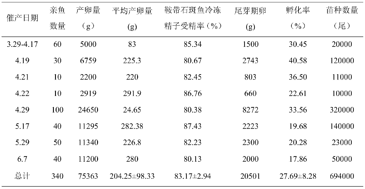 Establishment of a sperm freezer for grouper serrata and method for assisting grouper distant hybrid breeding