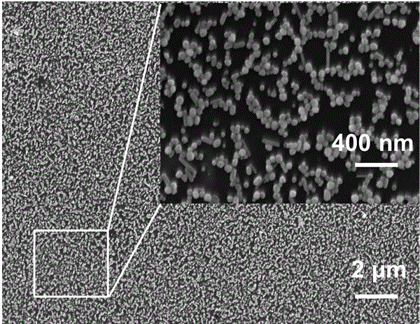 Sol and method for preparing surface-enhanced Raman substrate