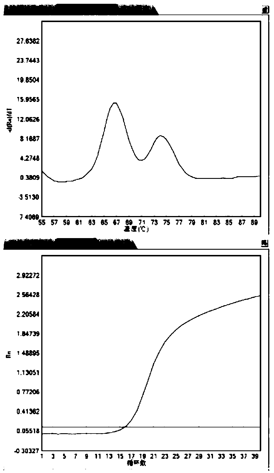 CYP2D6 gene mutation detection primer and kit