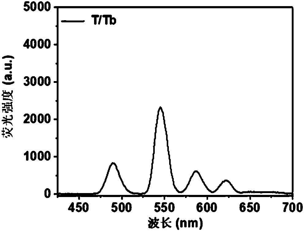 Rare-earth nucleoside fluorescent hydrogel as well as preparation method and application thereof in fluorescent encoding