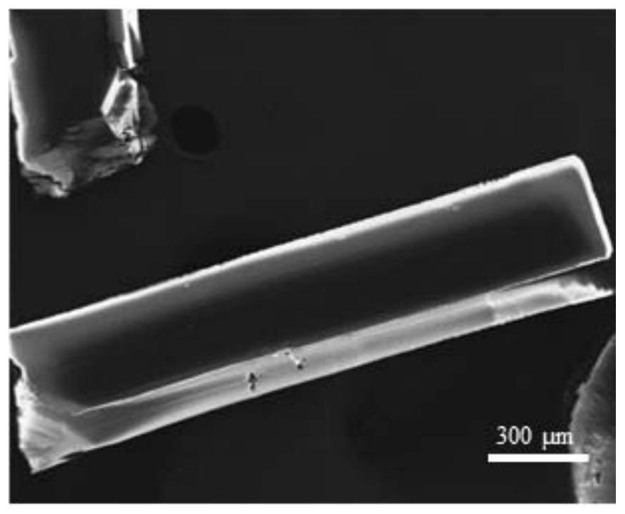 Preparation method of strong-polarity organic solvent tolerance macroscopic blue-phase polydiyne material based on co-assembly way