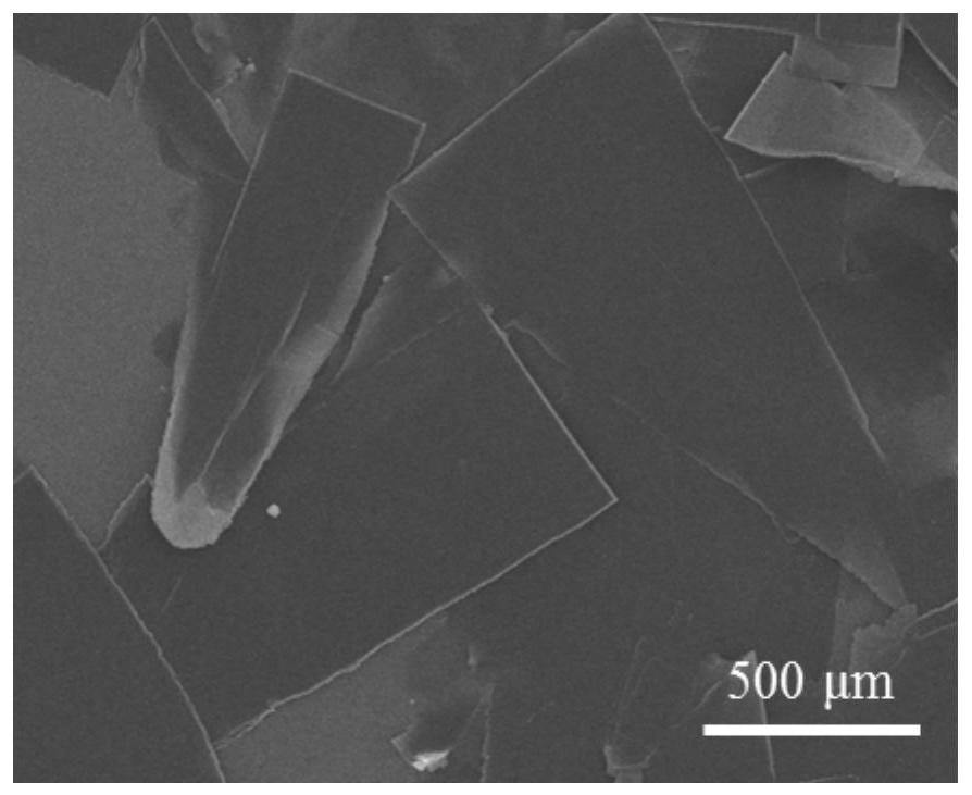 Preparation method of strong-polarity organic solvent tolerance macroscopic blue-phase polydiyne material based on co-assembly way