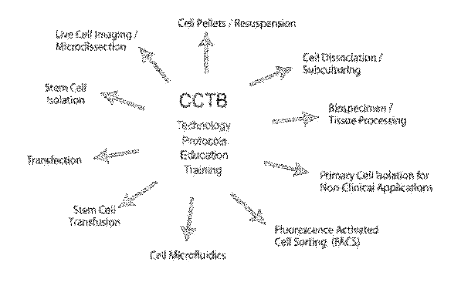 Cell Culture Media Supplement and Method of Molecular Stress Control