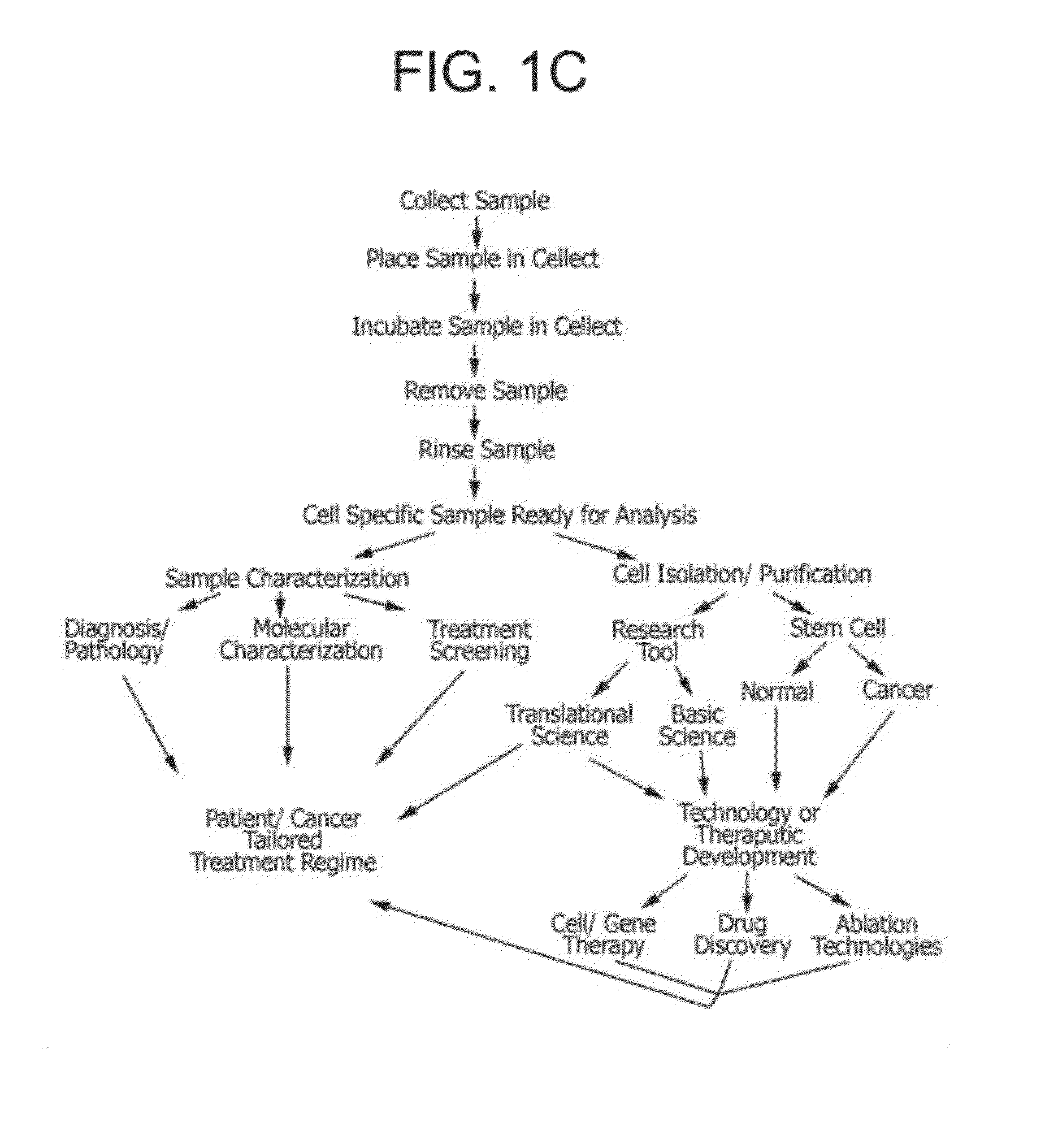 Cell Culture Media Supplement and Method of Molecular Stress Control