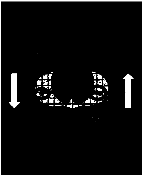 Intelligent campus anti-treading early warning device based on video crowd counting statistics technology