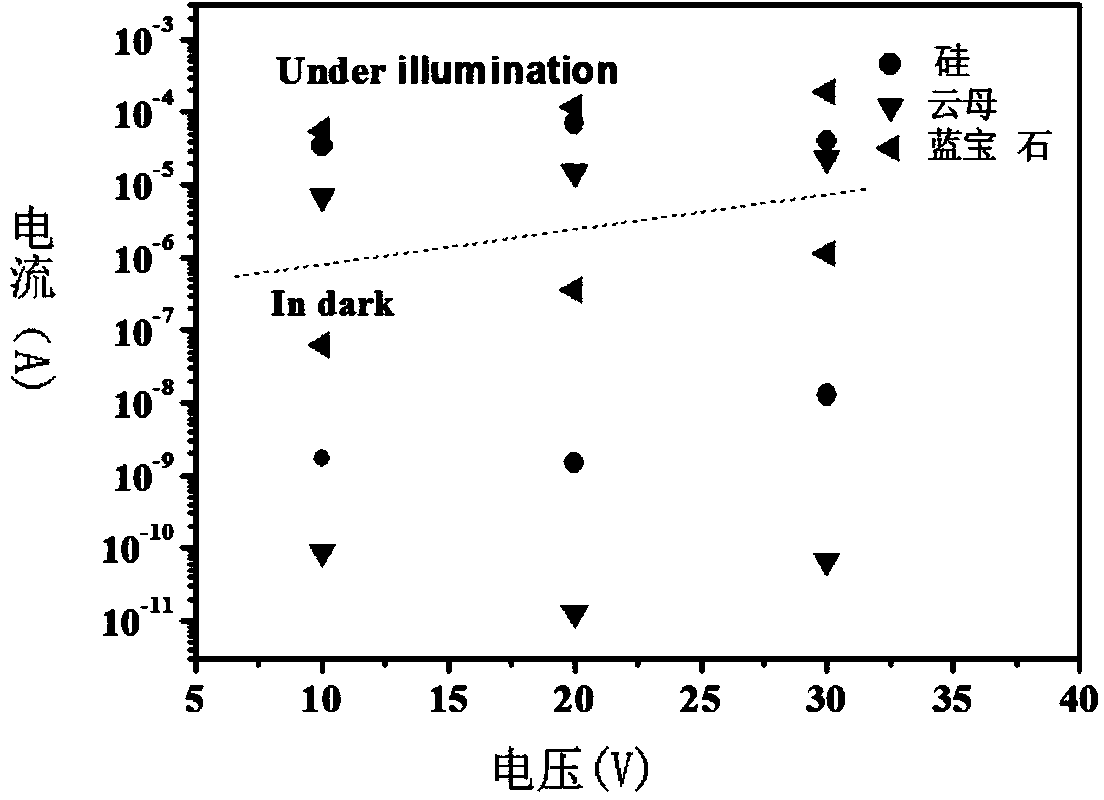 Method for manufacturing photoelectric detector based on integrated chip with alloy semiconductor nano-structure