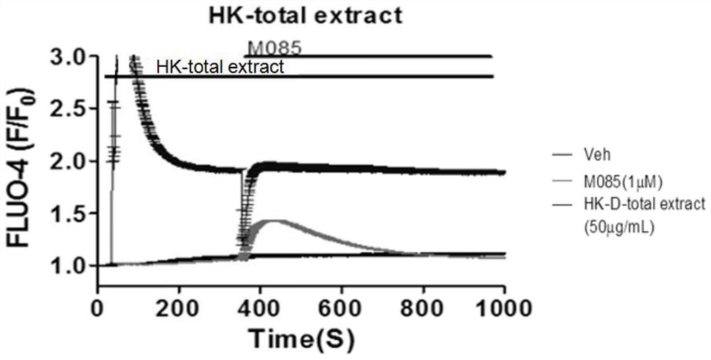 Application of abelmoschus manihot flower extract as TRPC ion channel inhibitor