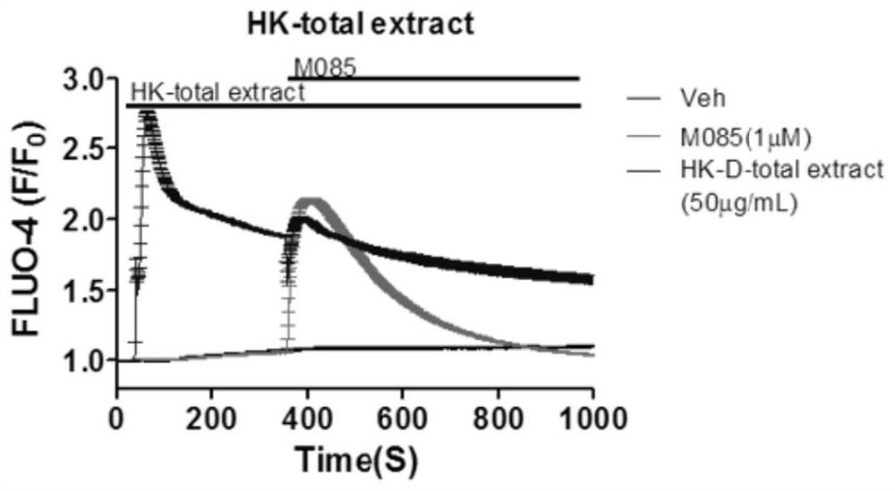 Application of abelmoschus manihot flower extract as TRPC ion channel inhibitor