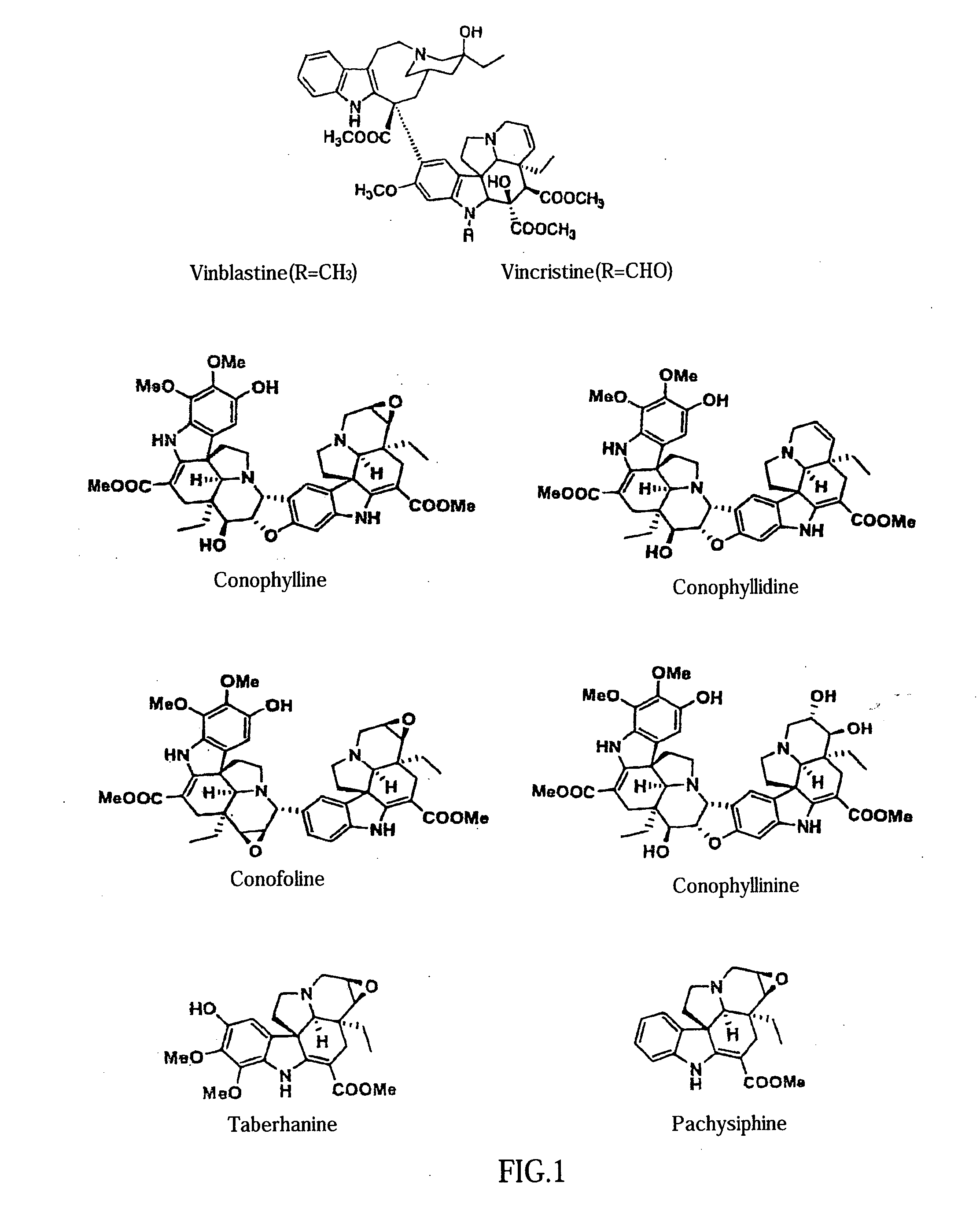 Use of vinca alkaloids and salts thereof