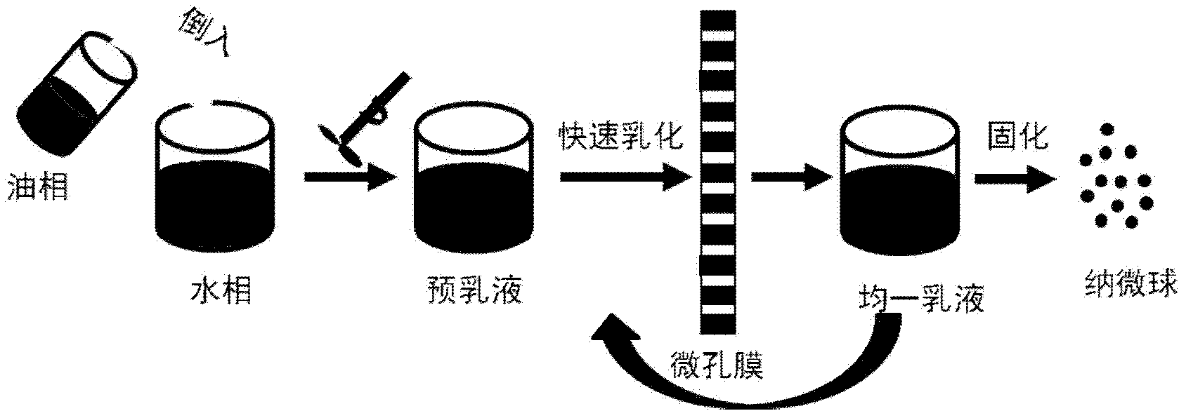 Polymer nanomicrosphere product with uniform and controllable size and preparation method thereof