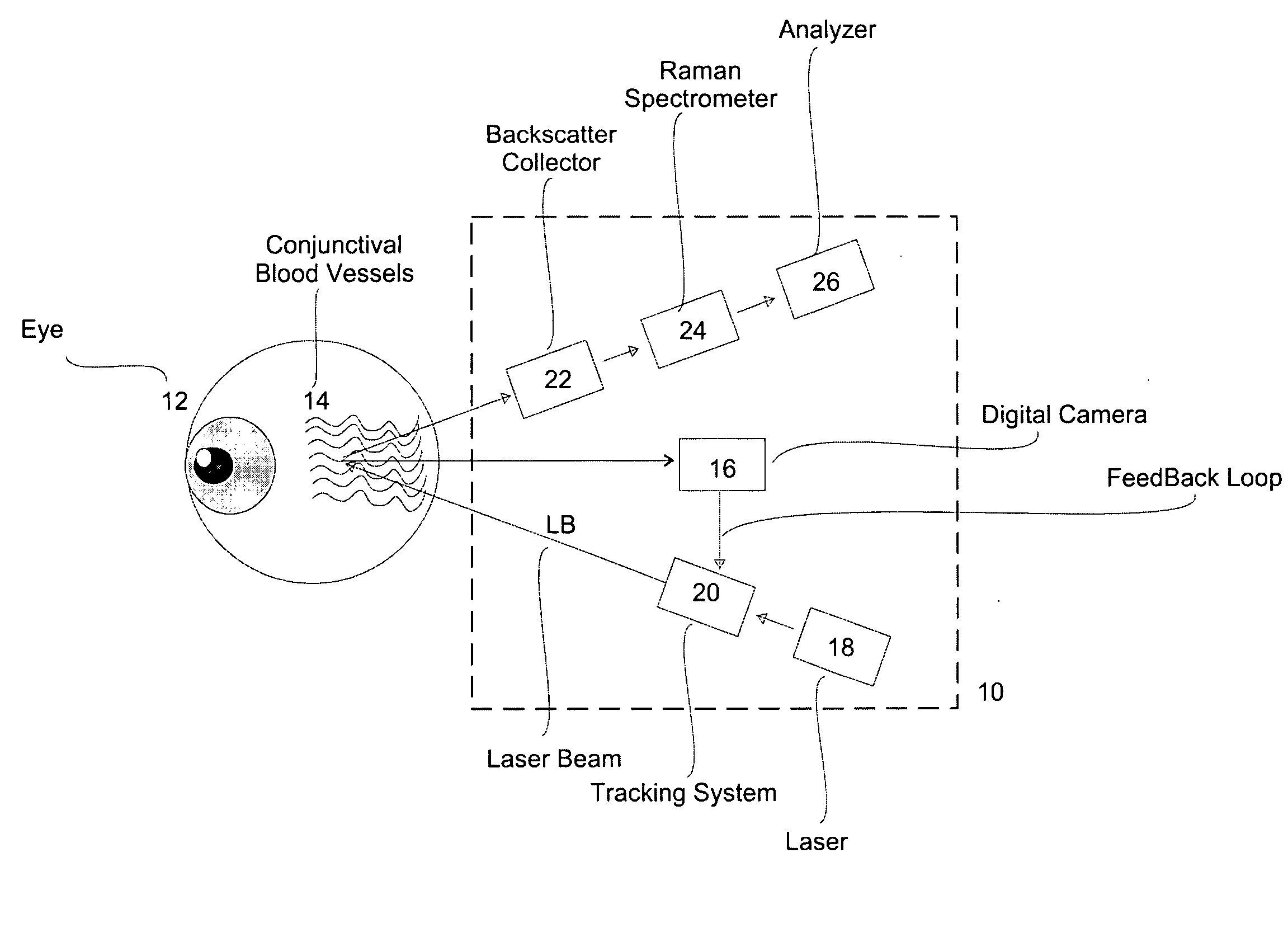 Method and apparatus for performing in-vivo blood analysis using raman spectrum