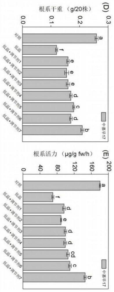 Low-temperature-resistant rice seedling raising substrate and preparation method thereof