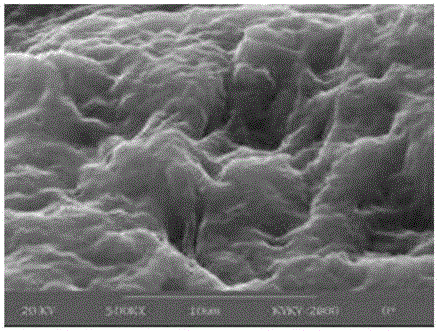 Molecular imprinting and preparation method thereof