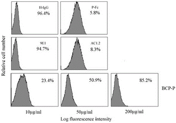 Purification process of bupleurun chinense polysaccharide fragment and application thereof in preparation of anti-inflammatory drug