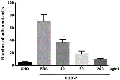 Purification process of bupleurun chinense polysaccharide fragment and application thereof in preparation of anti-inflammatory drug