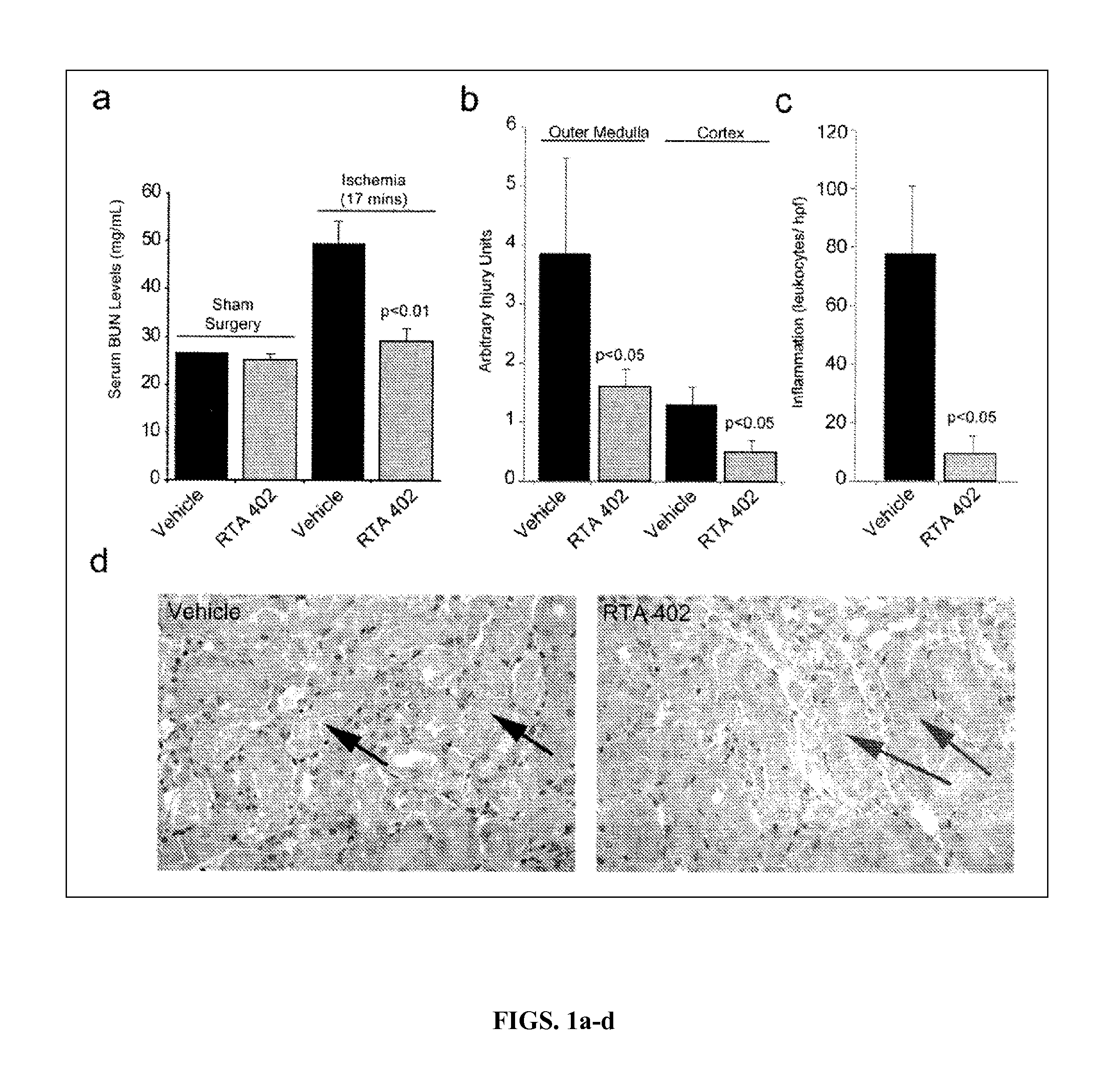 Synthetic Triterpenoids and Methods of Use in the Treatment of Disease