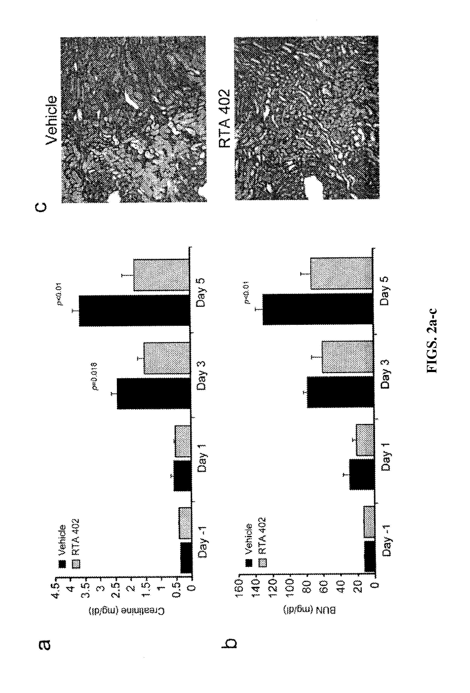 Synthetic Triterpenoids and Methods of Use in the Treatment of Disease