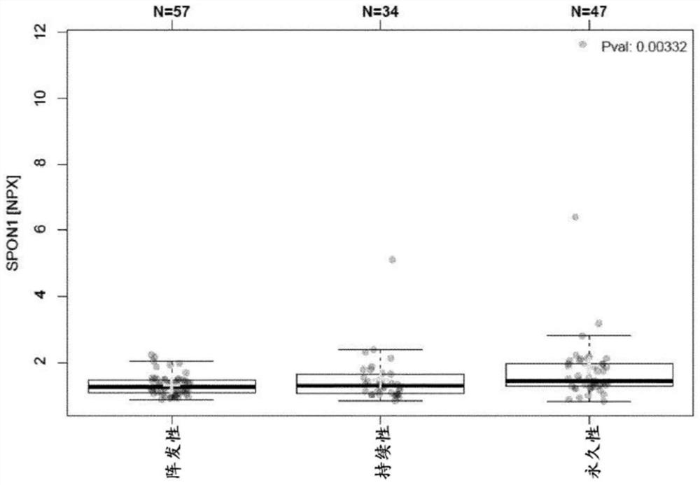 Circulating spon-1 (spondin-1) in the assessment of atrial fibrillation