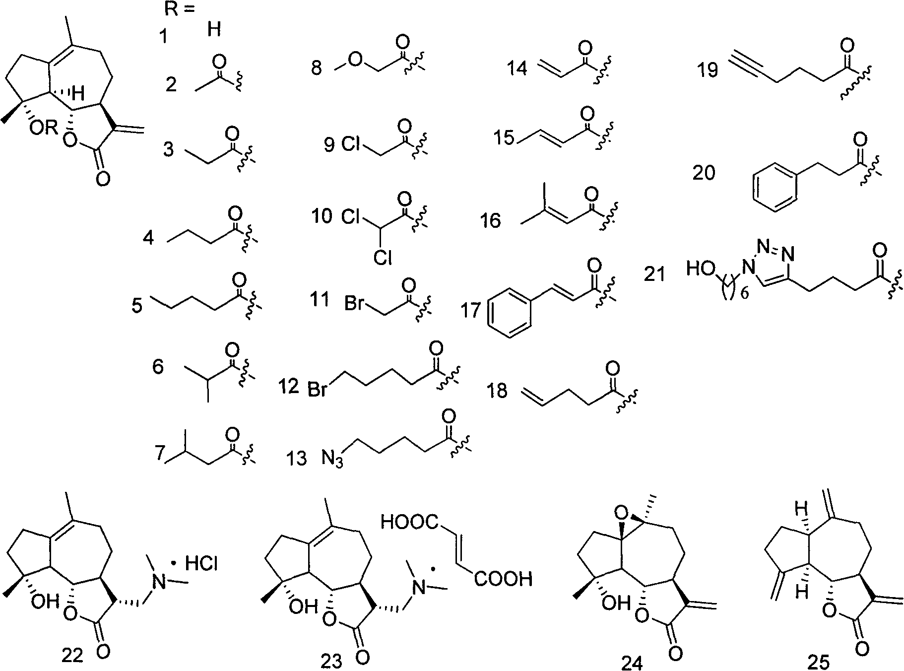 Applications of sesquiterpene lactone compound and derivative of sesquiterpene lactone compound in treatment of diabetes