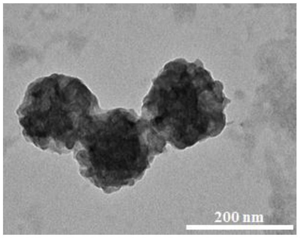 Preparation method of targeted long-circulation nano-drug carrier for photo-thermal synergistic chemotherapy