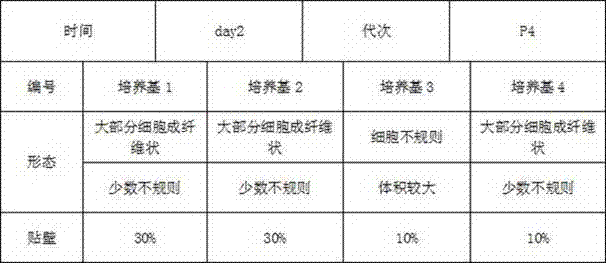 Low serum medium for cultivating human mesenchymal stem cells