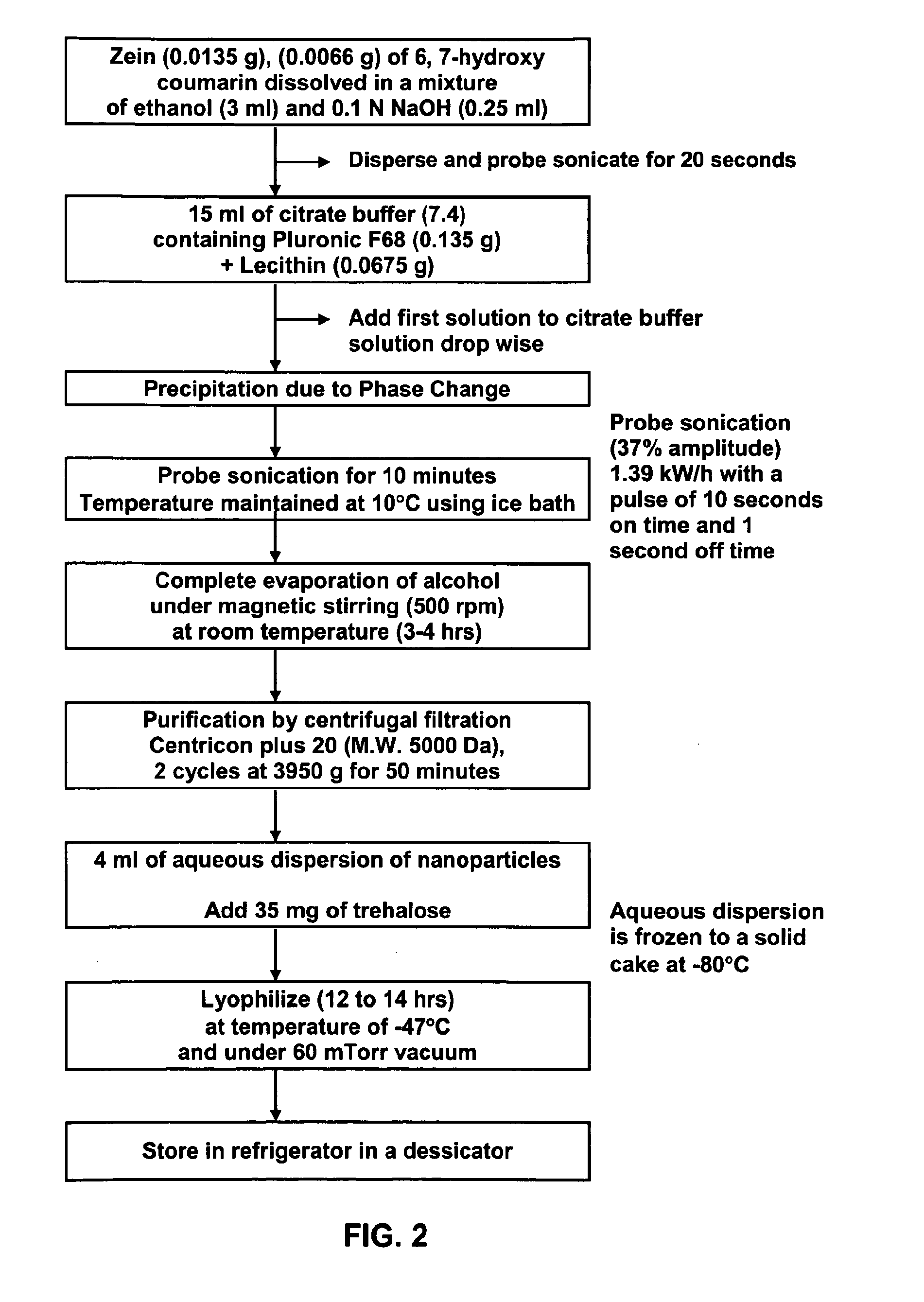 Method of forming non-immunogenic hydrophobic protein nanoparticles and uses therefor