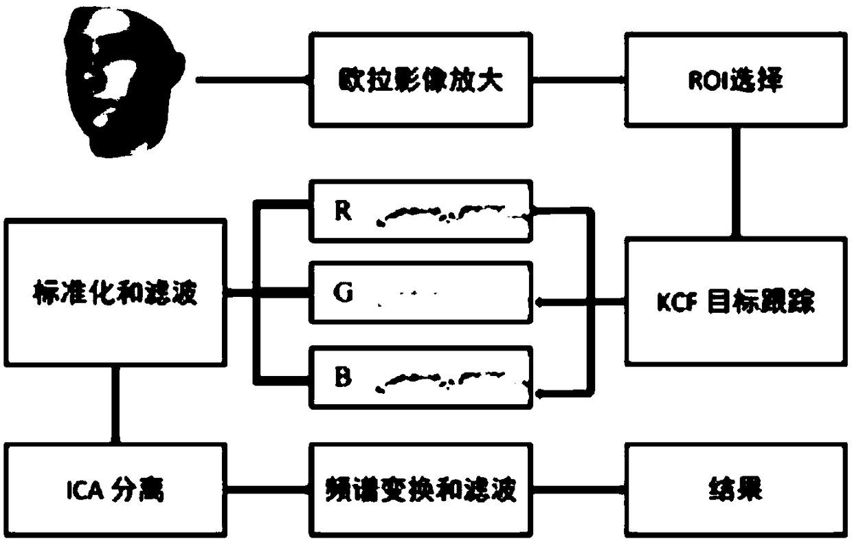 Non-contact heart rate measurement method based on a visual camera