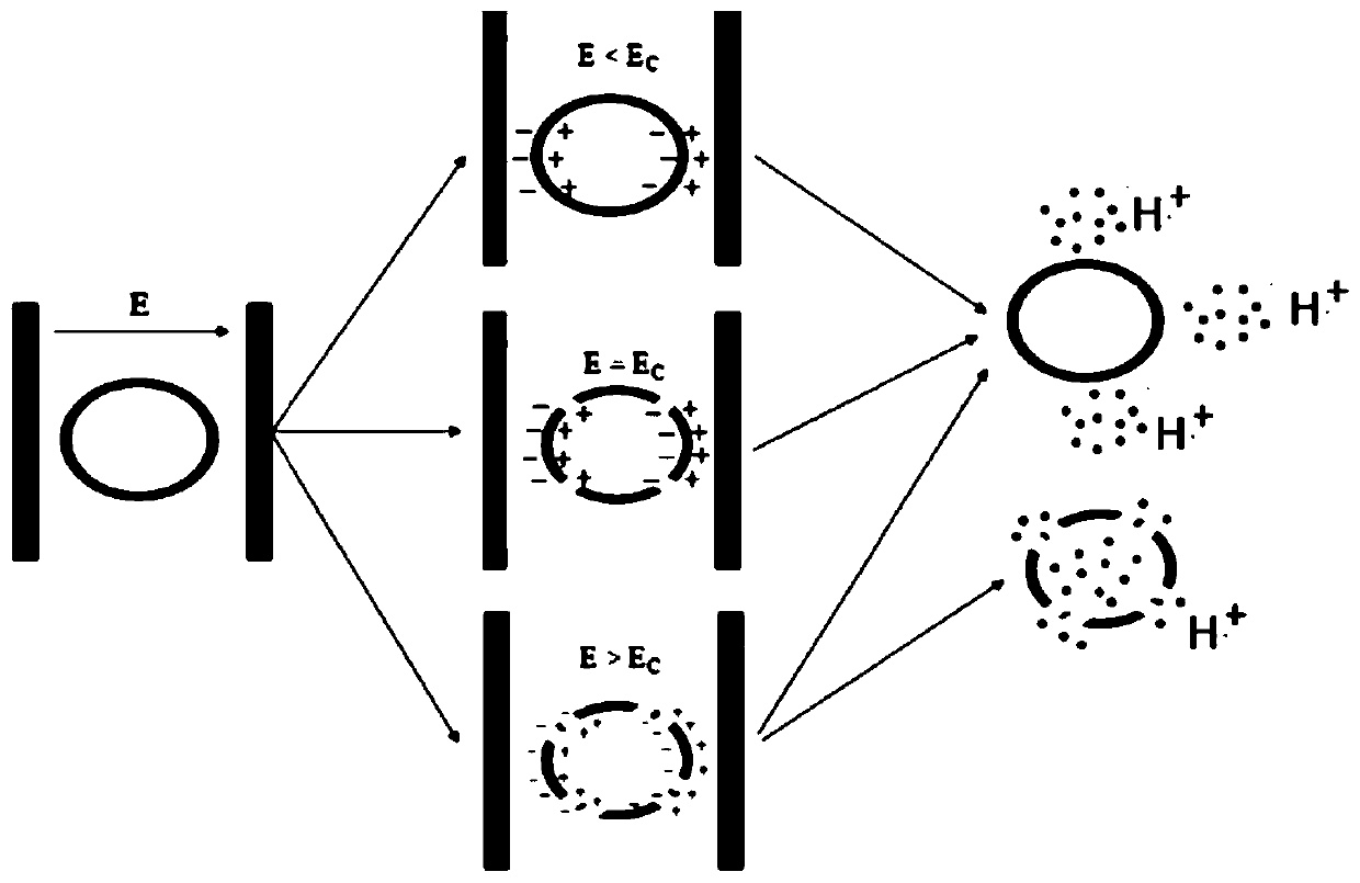 Protein microcapsules for targeted inhibition of small intestinal amylase and preparation method