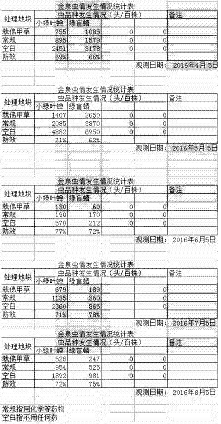 Sedum lineare cultivation method and biological control method for insect pests of tea garden