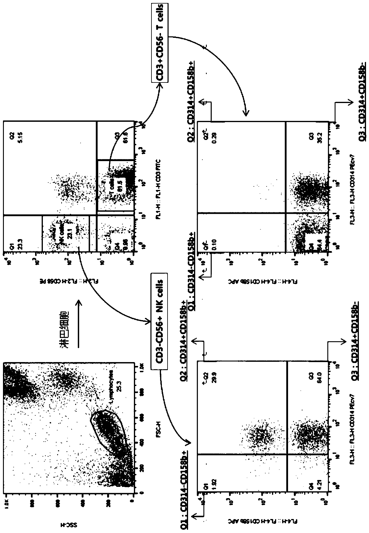 Method for assessing immunity and providing information on whether or not the onset of cancer has begun by utilizing difference in immune cell distribution between peripheral blood of colorectal cancer patient and normal person, and diagnostic kit using same