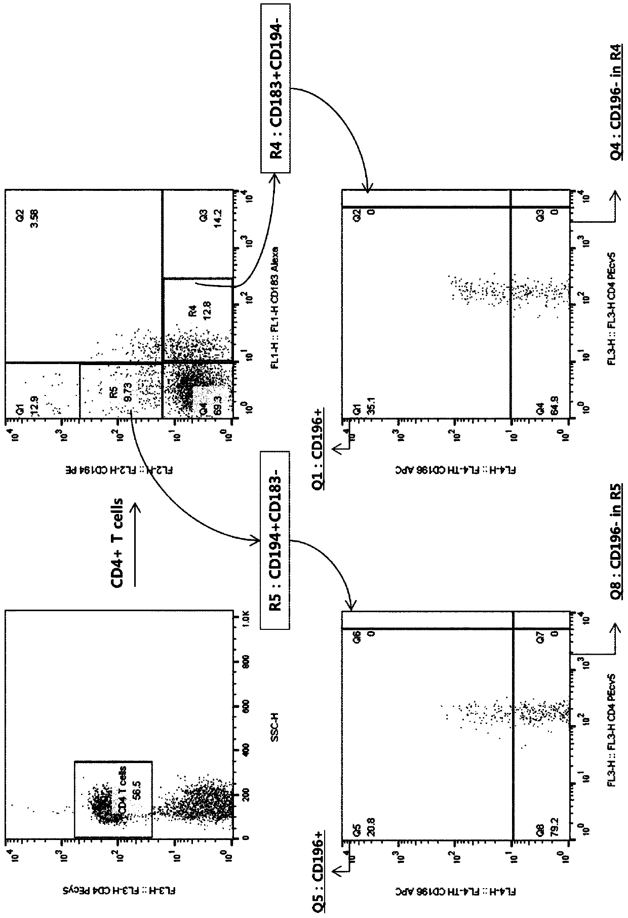 Method for assessing immunity and providing information on whether or not the onset of cancer has begun by utilizing difference in immune cell distribution between peripheral blood of colorectal cancer patient and normal person, and diagnostic kit using same