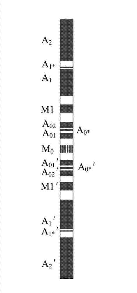 High-resolution orientation resistivity side direction logging instrument and logging method