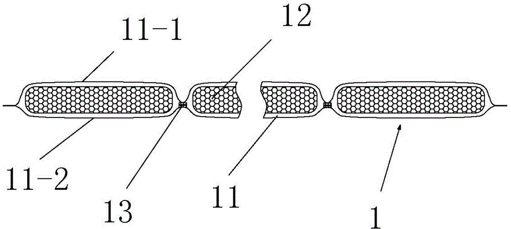 Full side entrance type living article containing capsule-core materials and preparation method thereof