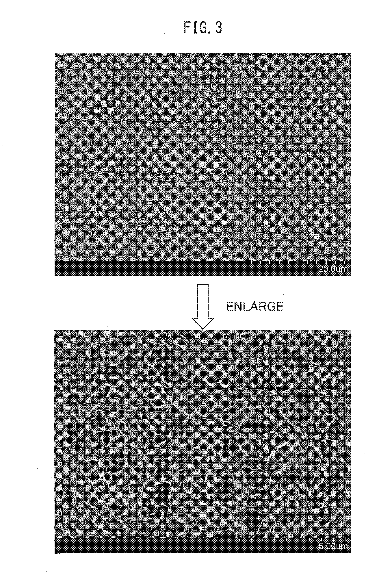 Laminated body, separator, and nonaqueous secondary battery