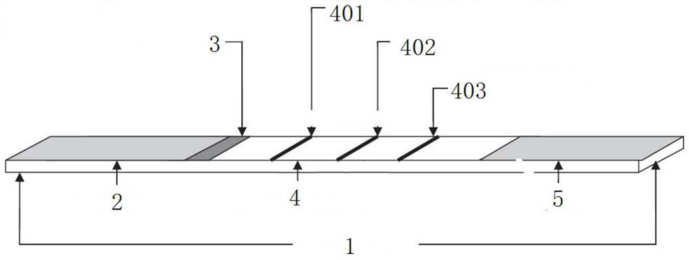 Quantum dot joint detection test strip for influenza viruses A and B as well as preparation method and application of quantum dot joint detection test strip