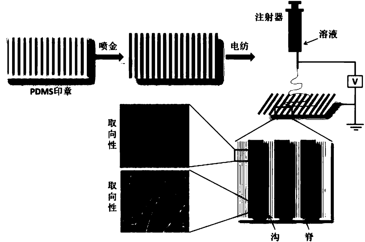 Preparation method for tissue engineering transplant with micro-nano topological geometry structure on surface