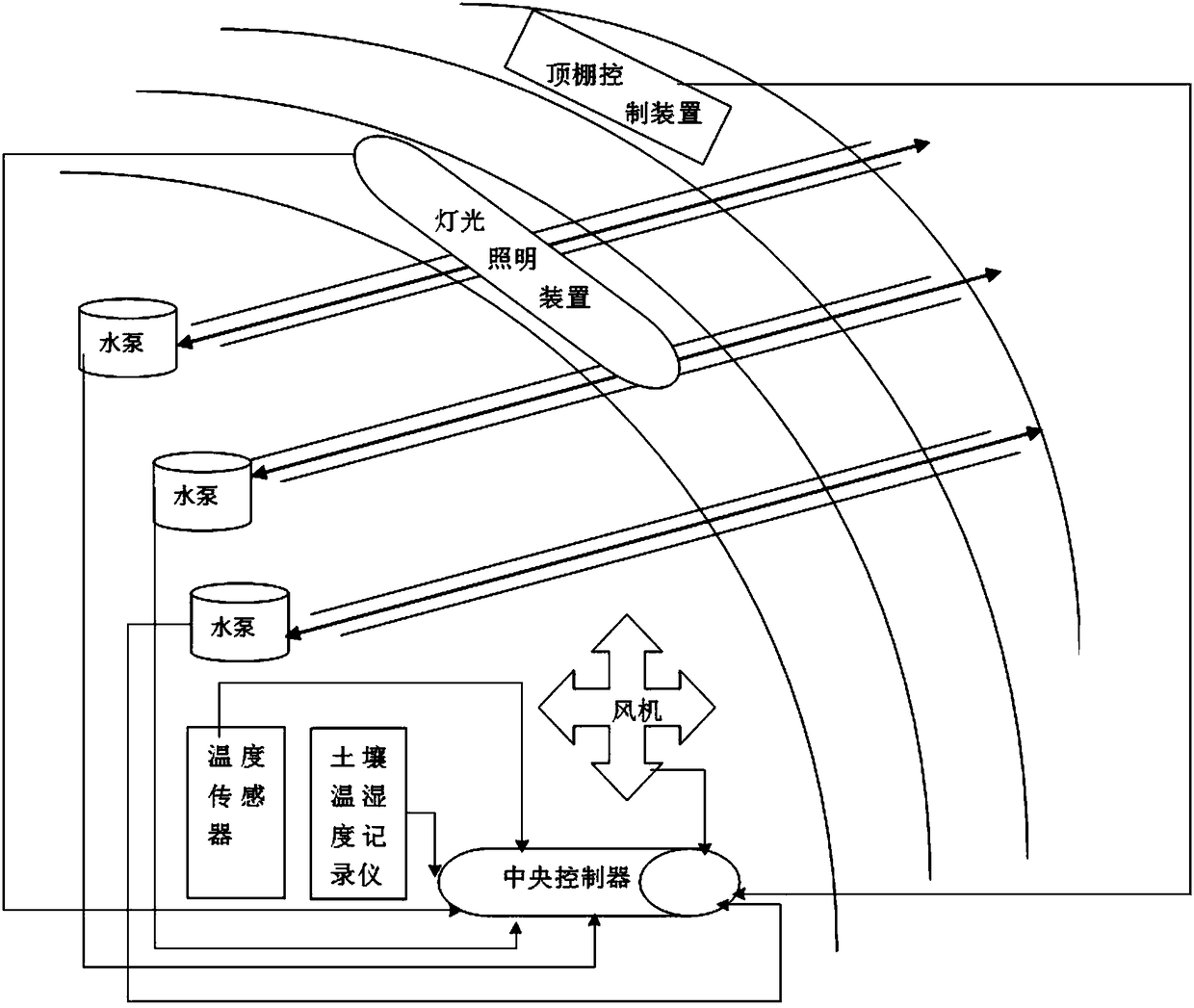 Method for planting Thesium chinense in greenhouse