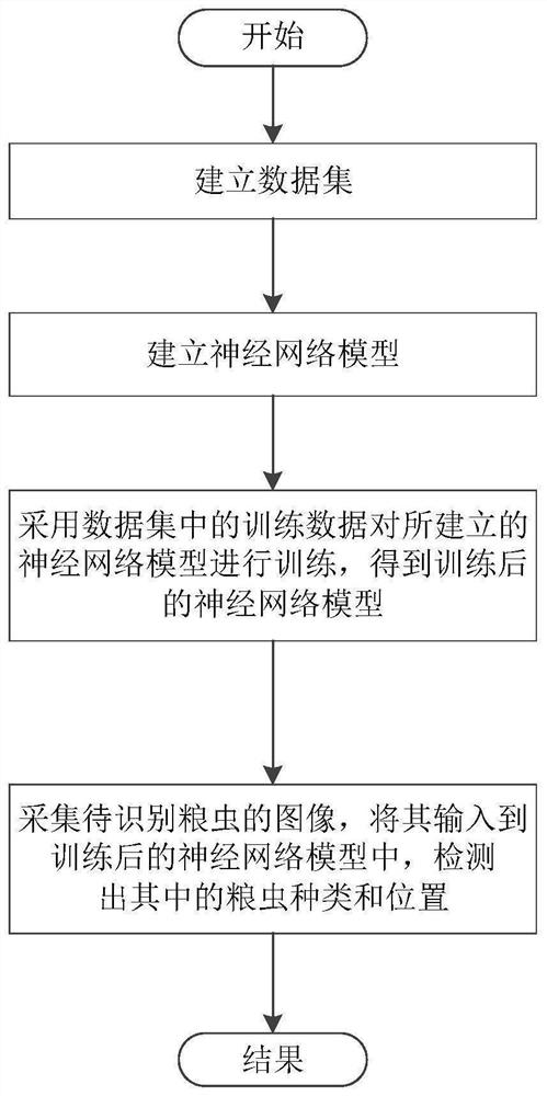 Grain insect identification method and identification system based on feature fusion of SSD algorithm