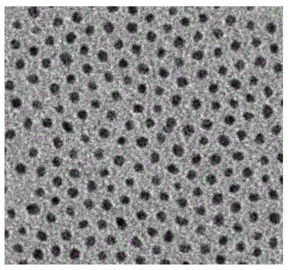 Method for establishing nanometer heterostructure based on FePt nanometer particles