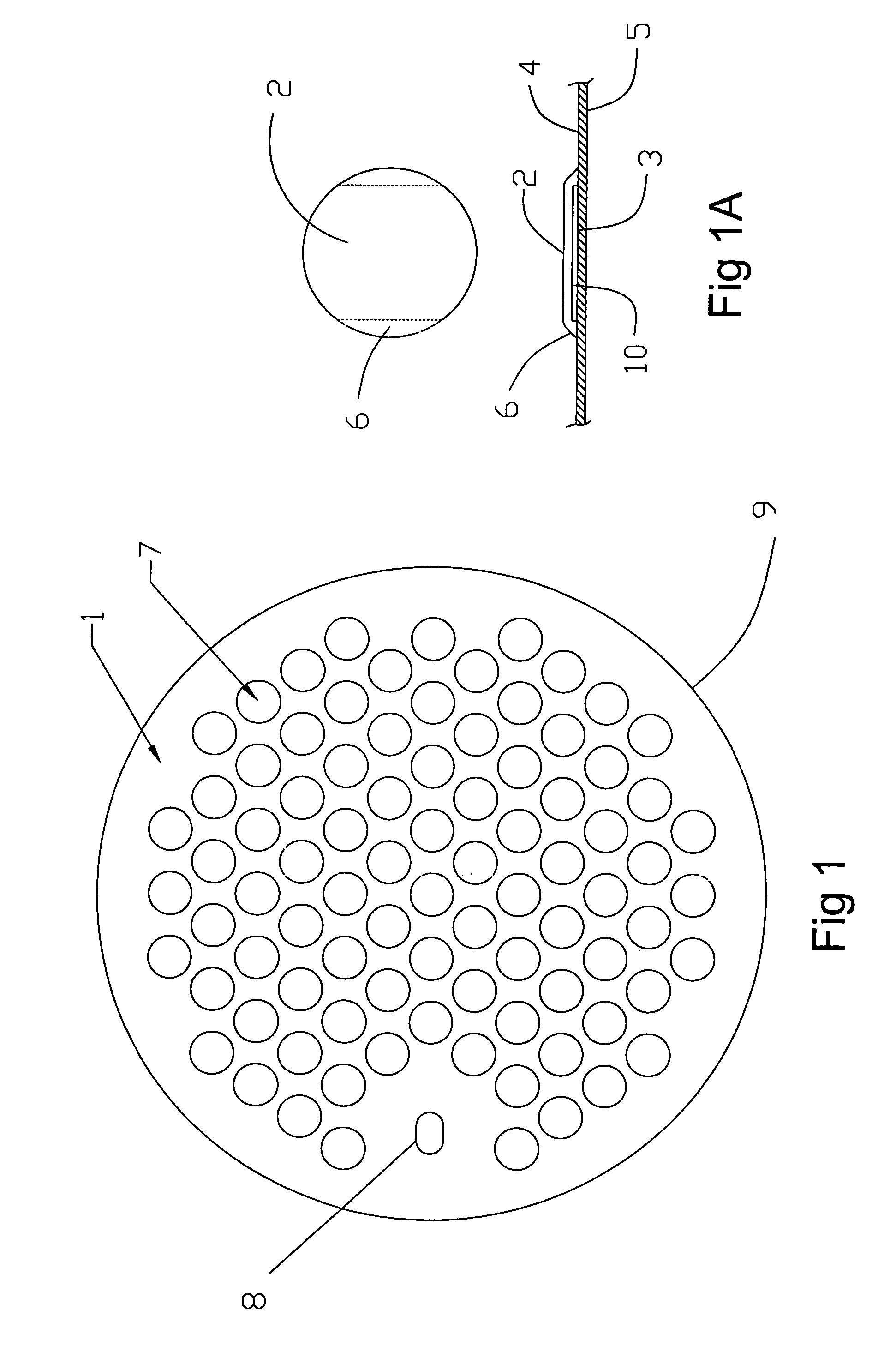 Lauter tun false bottom