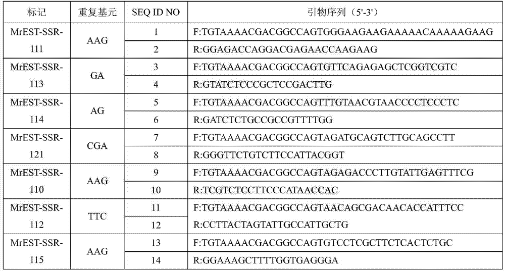 Waxberry EST-SSR molecular markers and application thereof