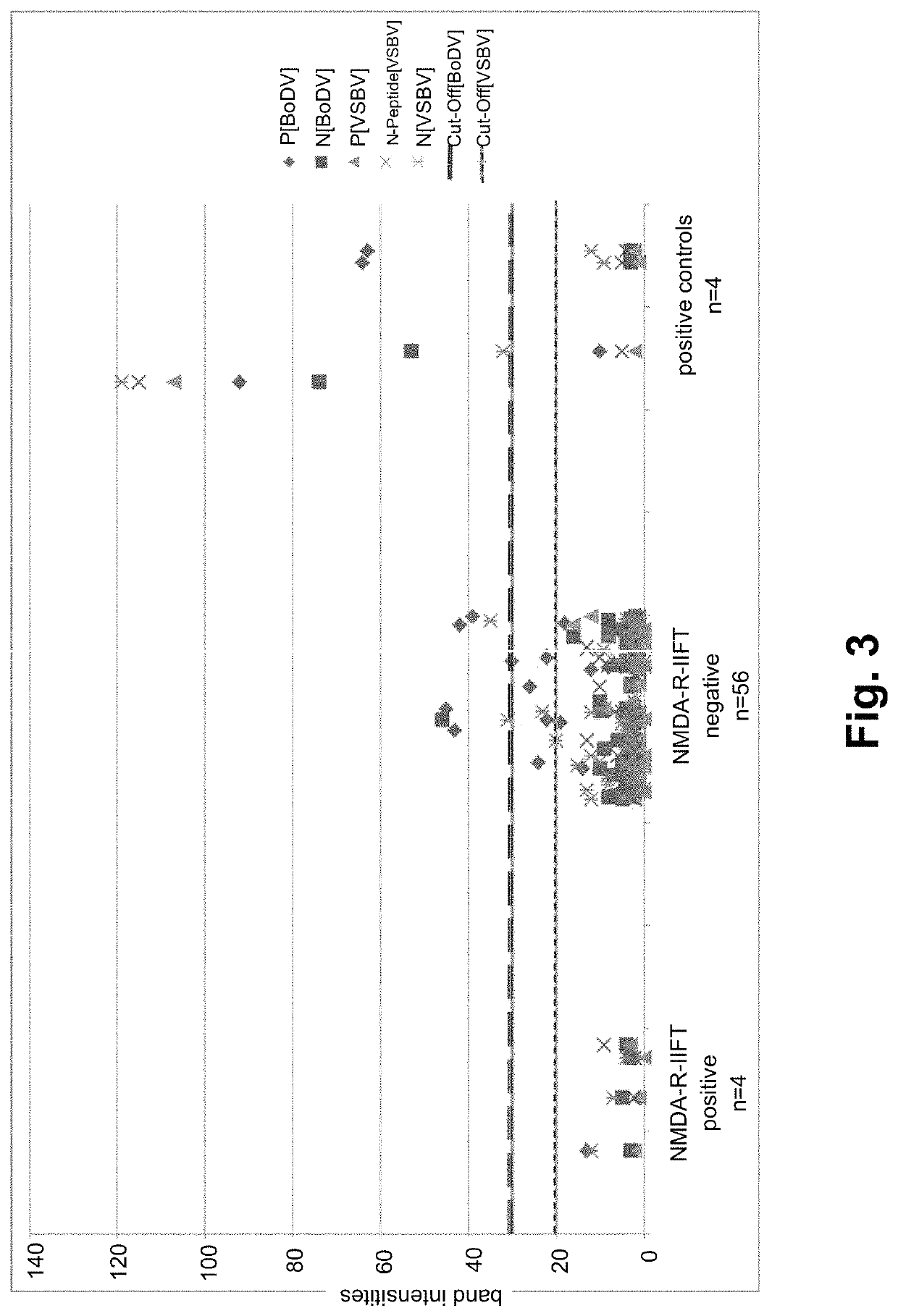 Method for the diagnosis of bornavirus infection