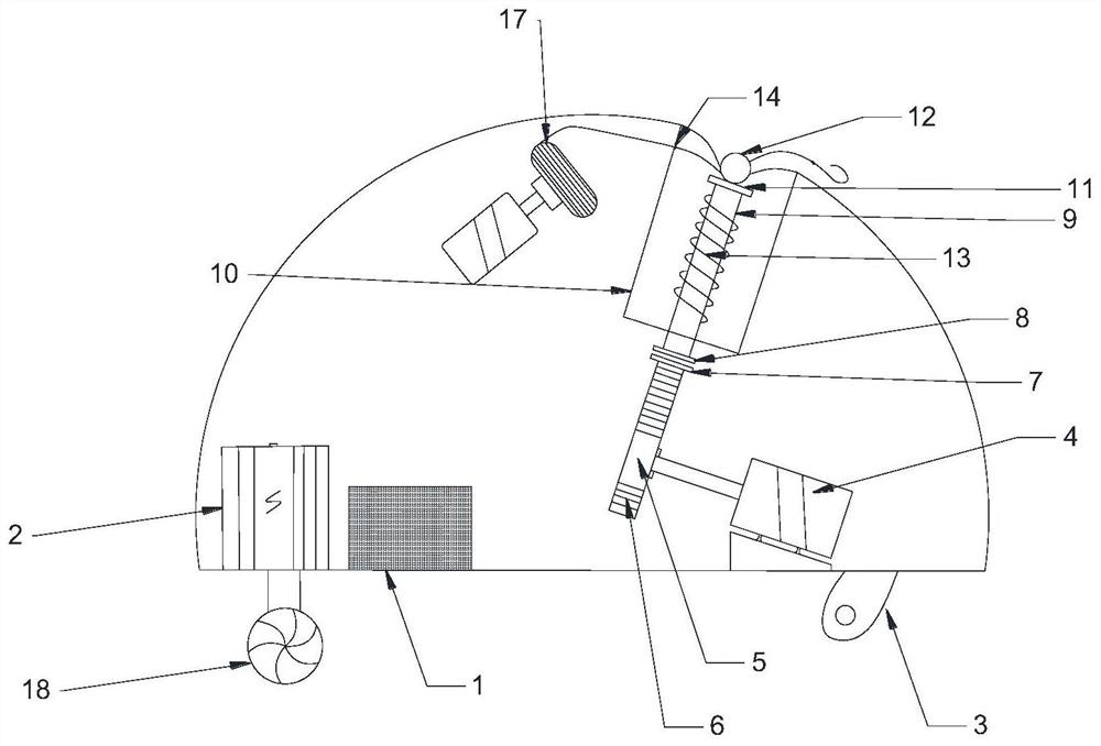 Remote intelligent fishing device based on underwater vision