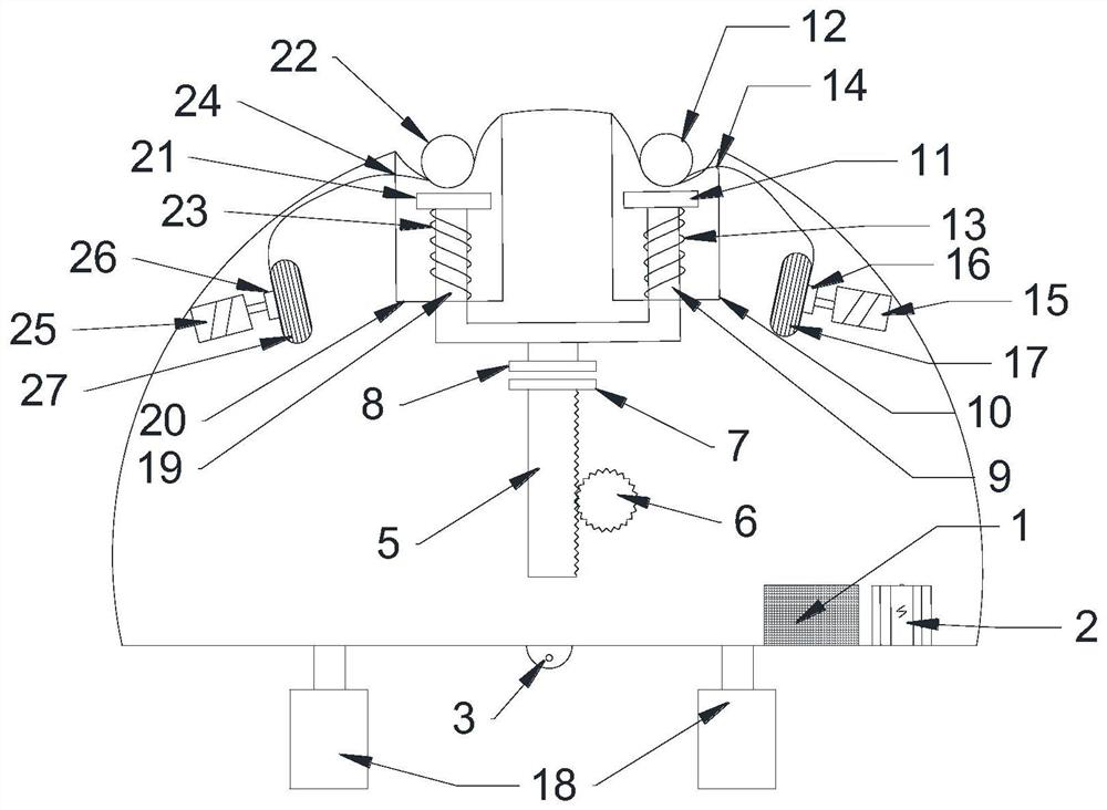 Remote intelligent fishing device based on underwater vision