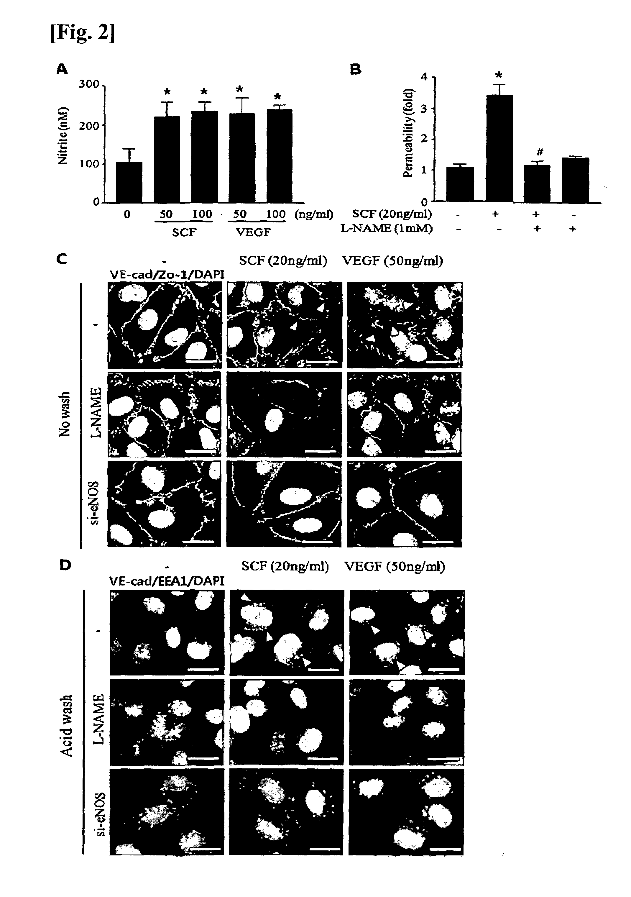 Composition comprising material for inhibiting scf or receptor thereof for treating or preventing diseases associated with vascular permeability