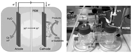 Efficient electron carrier screening, designing and modifying method